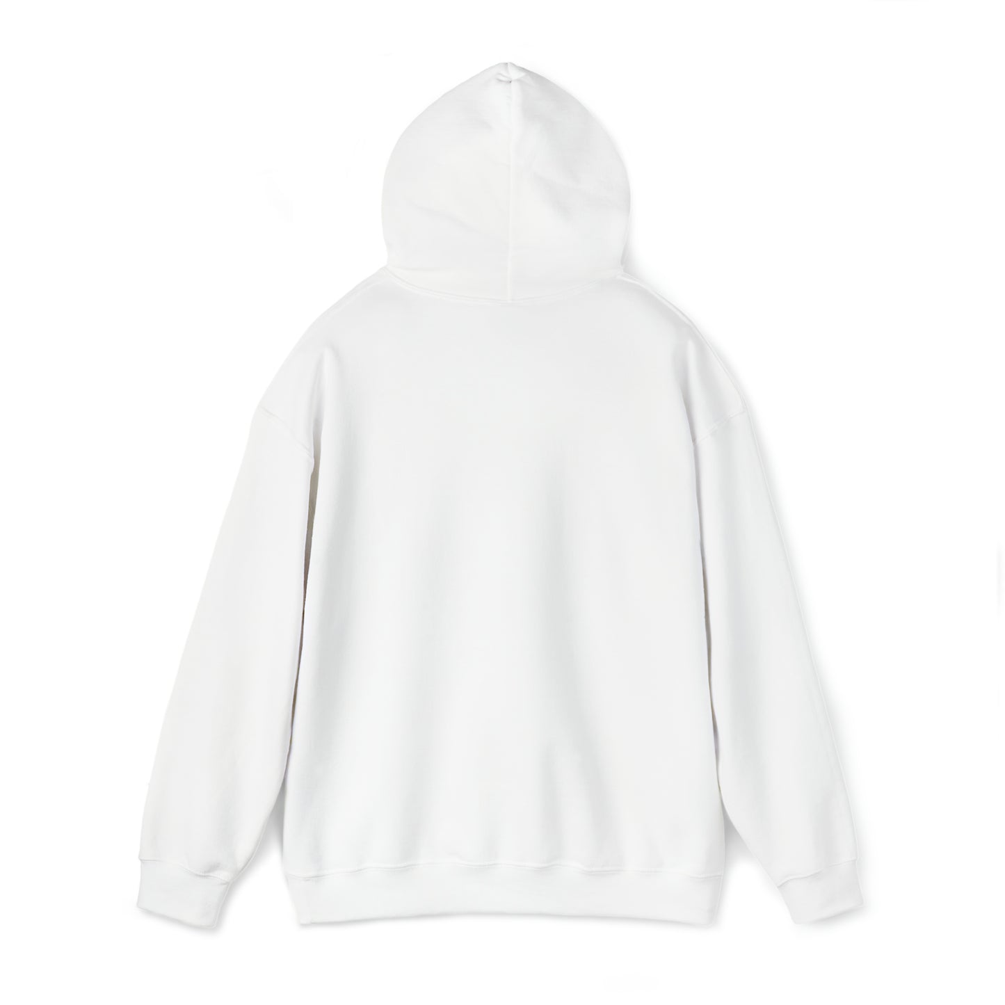 Aggrandize Hooded Sweatshirt