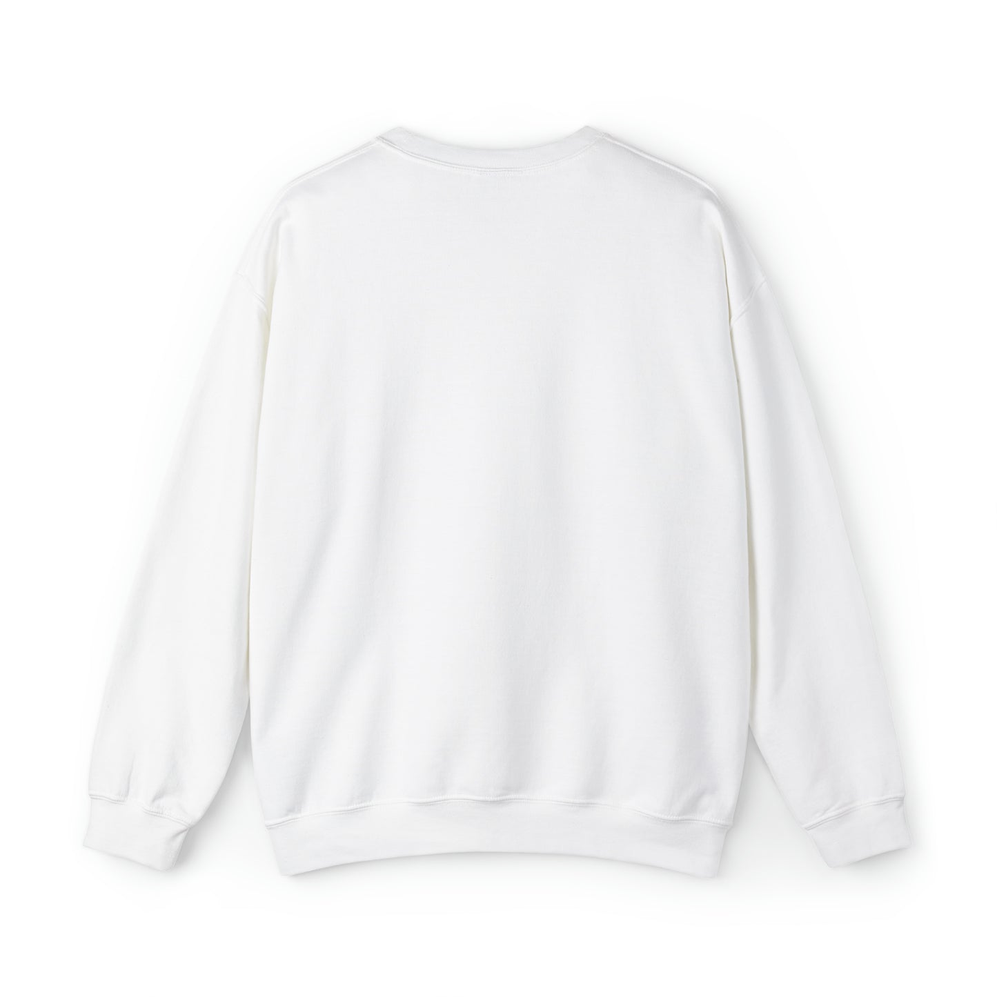 Aggrandize Media Group sweatshirt