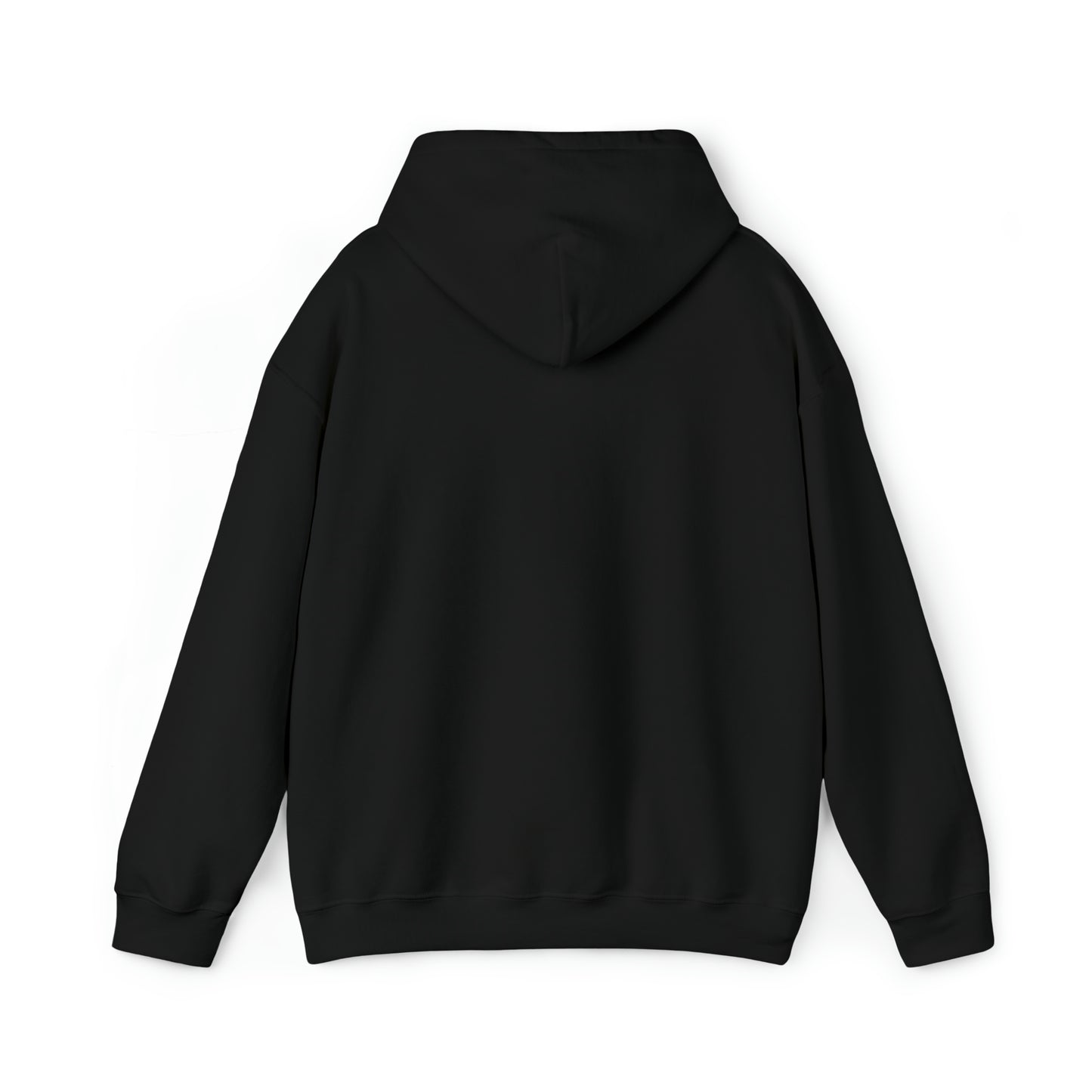 Aggrandize Hooded Sweatshirt